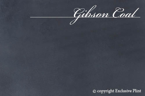 Gibson Coal Leder-Wandpaneel