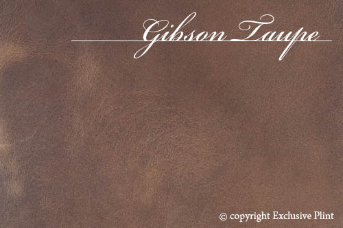 Gibson Taupe Leder-Wandpaneel